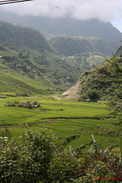 VietNam 20080728 145  